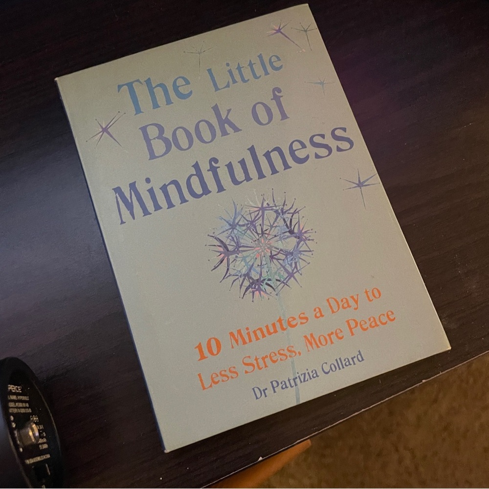 The Little Book of Mindfulness